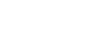 Logo Apis divisione promozionale